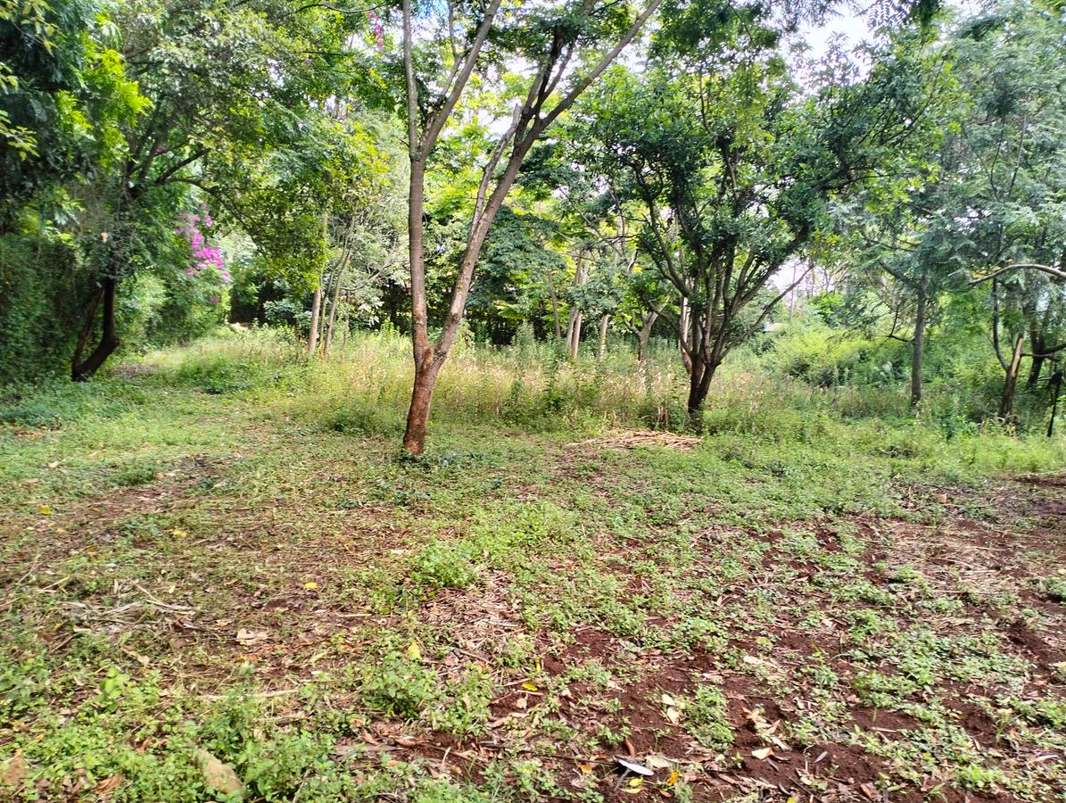 1 ac Land in Runda - 4