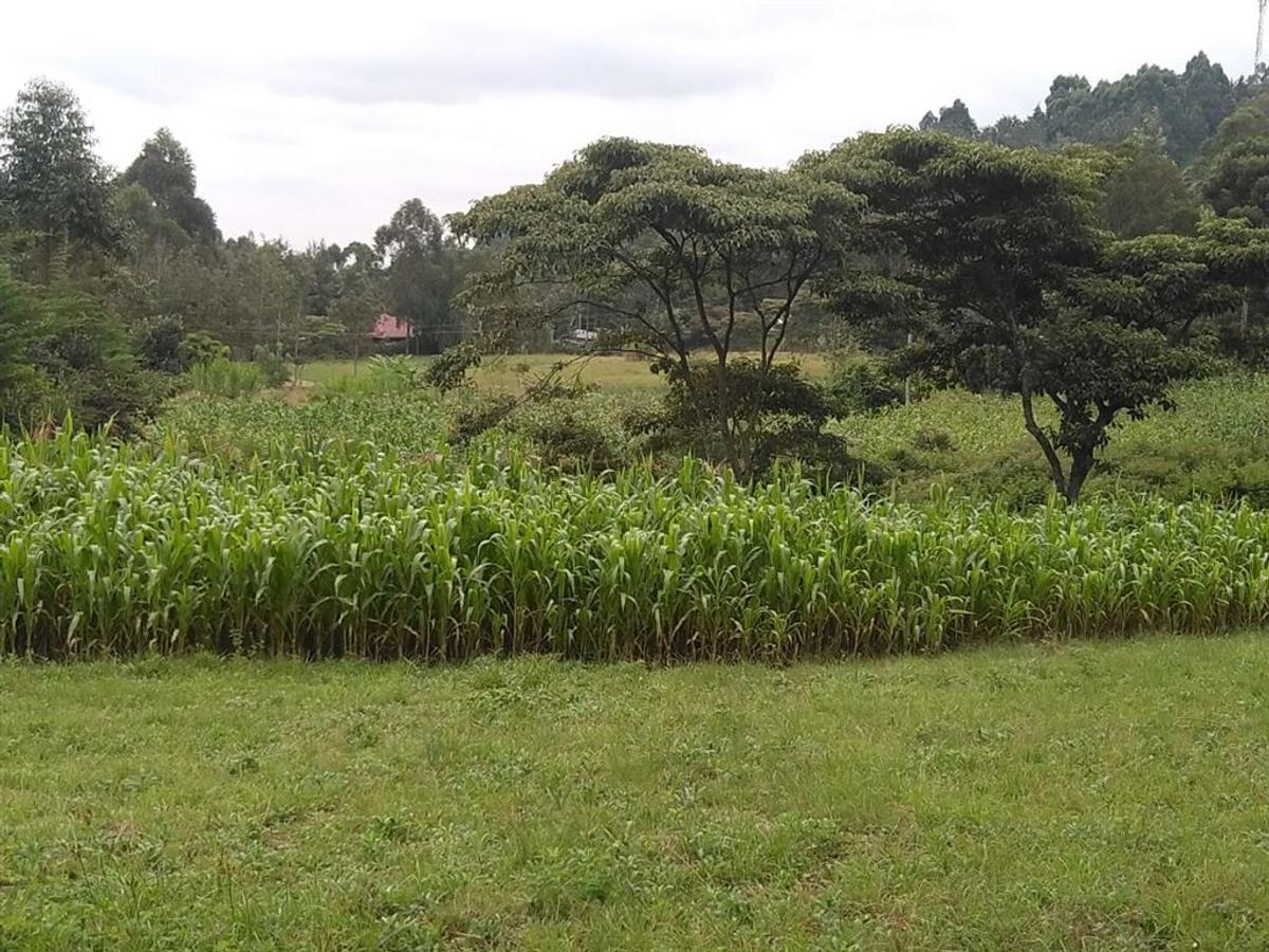 1,000 m² Residential Land in Ngong - 2