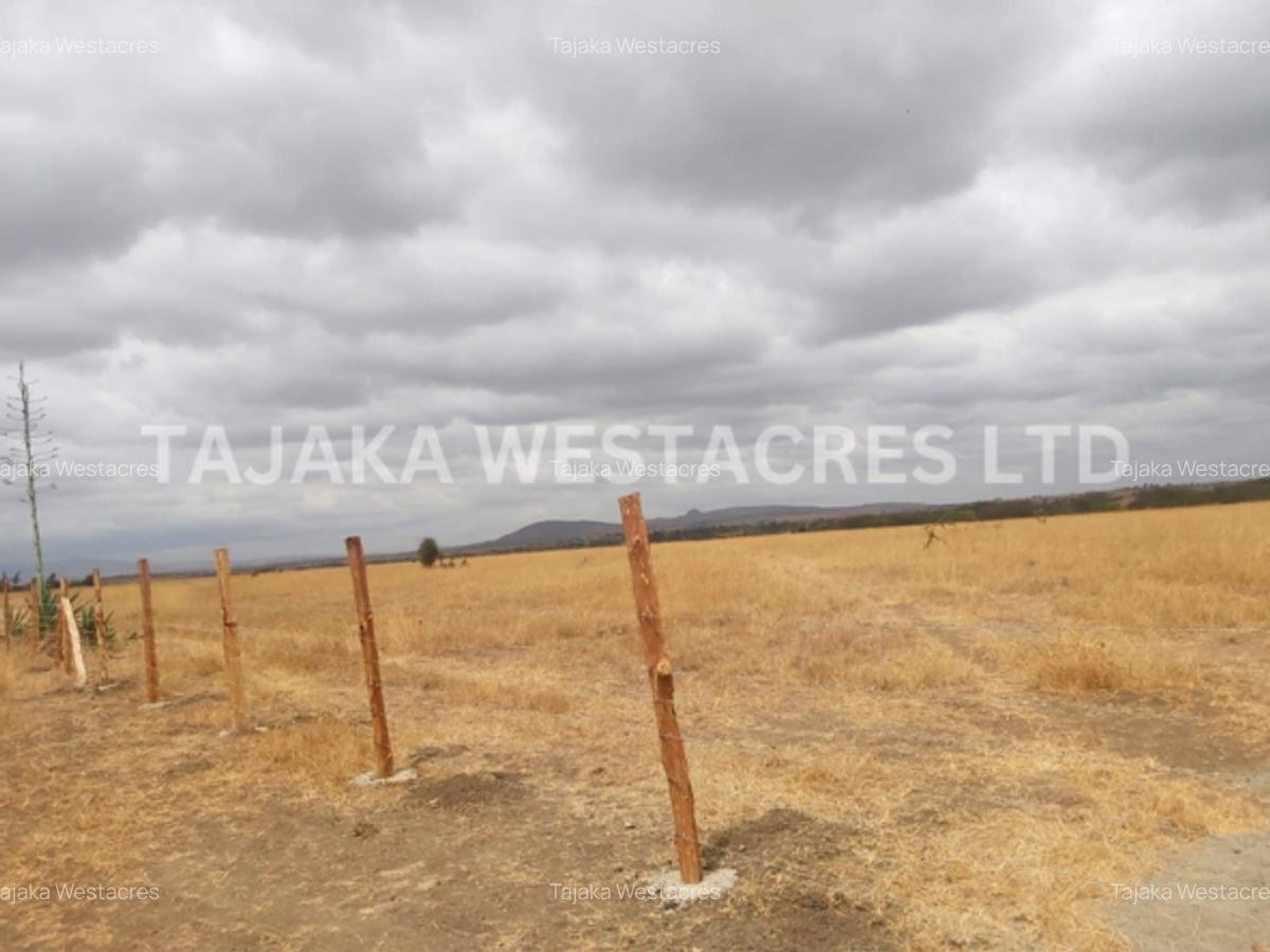 36 ac Land at Joska - 2