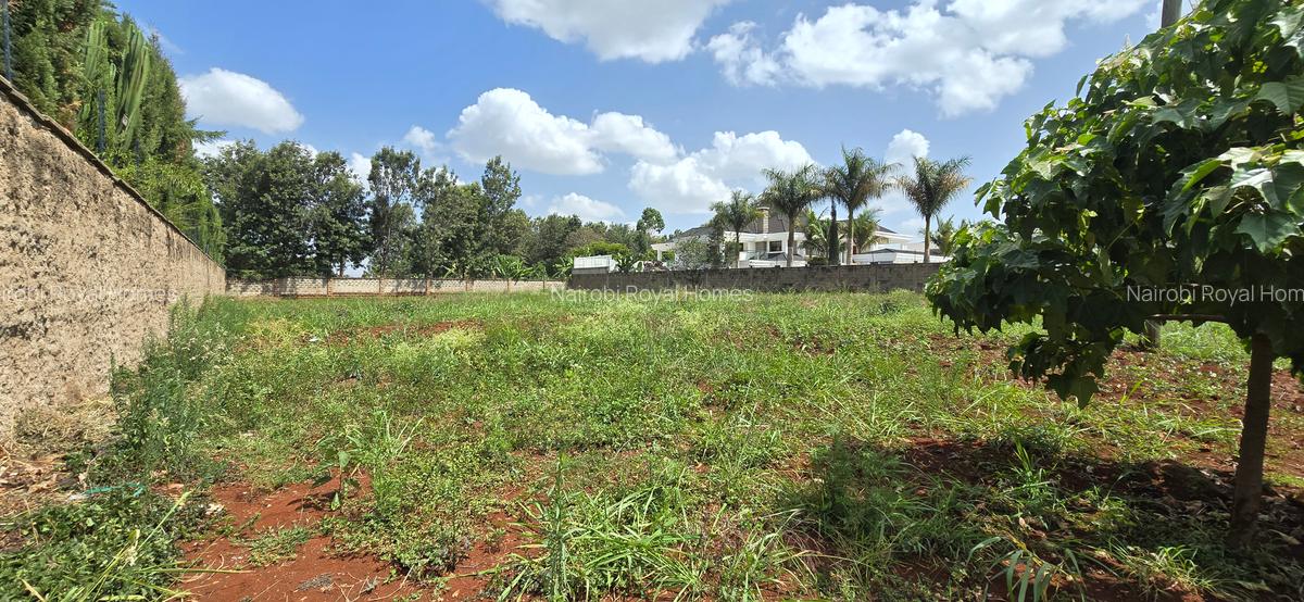 Residential Land at Runda Road - 10