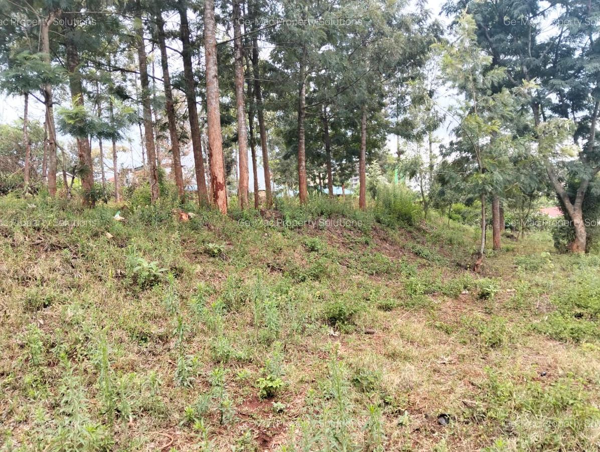 Land at Kirawa Road - 1