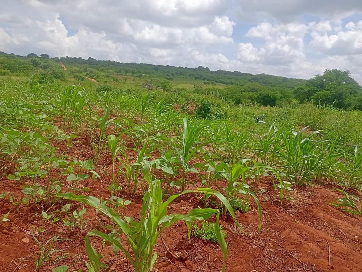 Residential Land at Mutuabare - 8