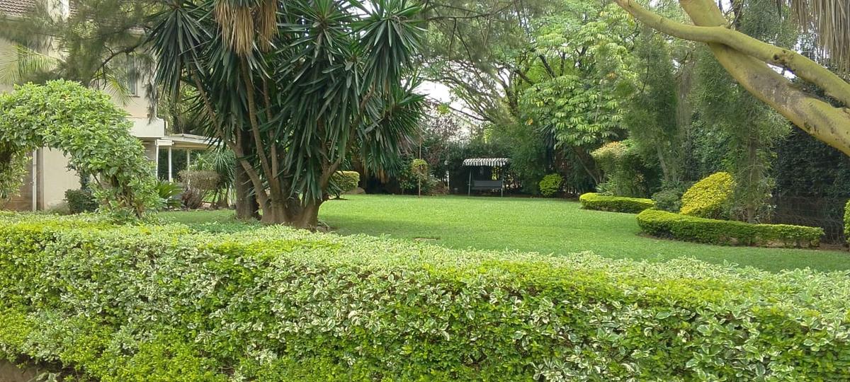 Land in Ngong Road - 10