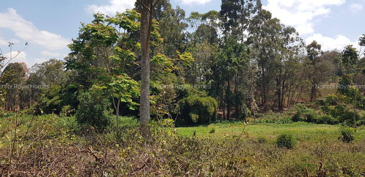 Residential Land at Flem Tree Off Ruaka Road - 6