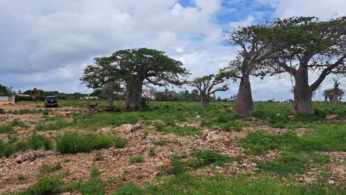 3 Bed House with En Suite at Malindi - 9