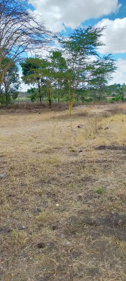 39 ac Land in Malaa - 17