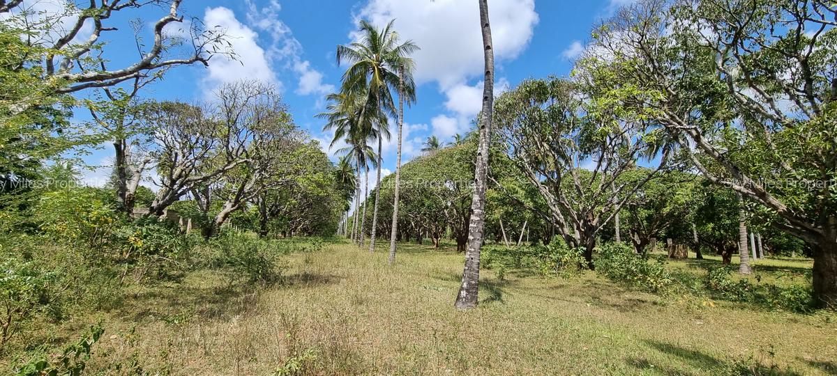 6 ac Land at Mtwapa - 14
