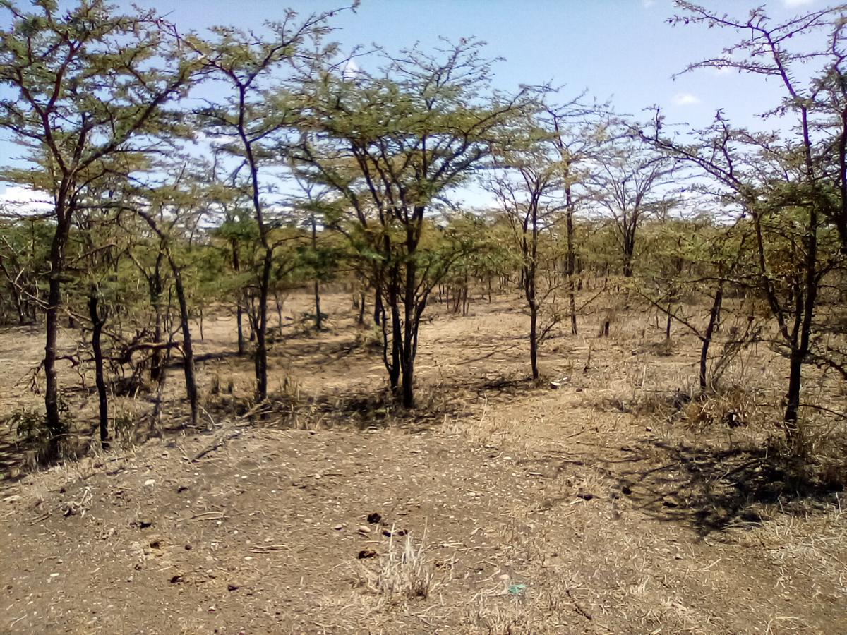 Land at Nanyuki - 8