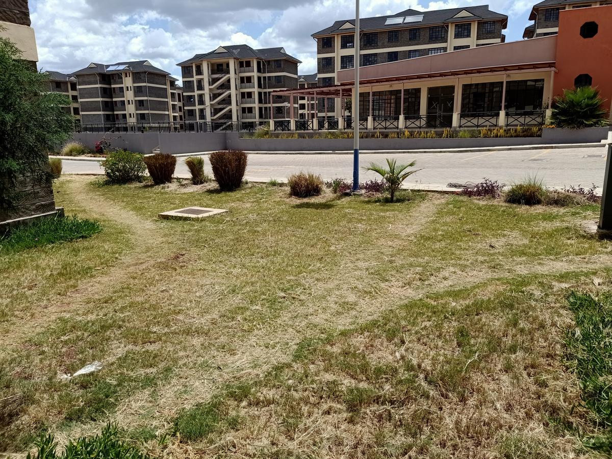 2 Bed Apartment with Swimming Pool at Kitengela-Isinya Rd. - 16