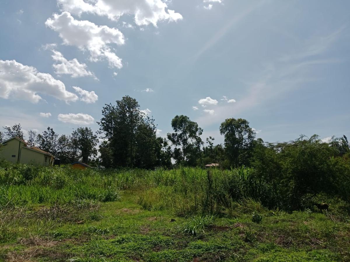 Land at Roysambu - 5