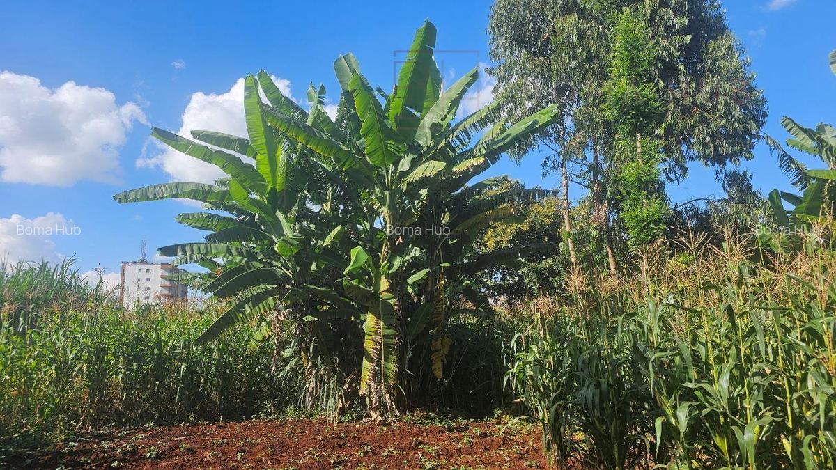 0.25 ac Residential Land in Ruaka - 3