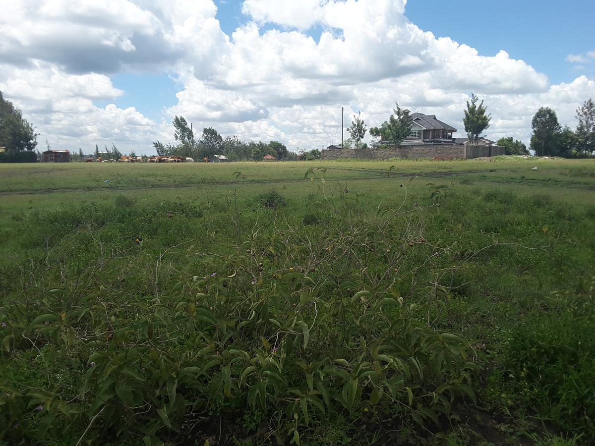 0.1 ha Residential Land in Ongata Rongai - 2