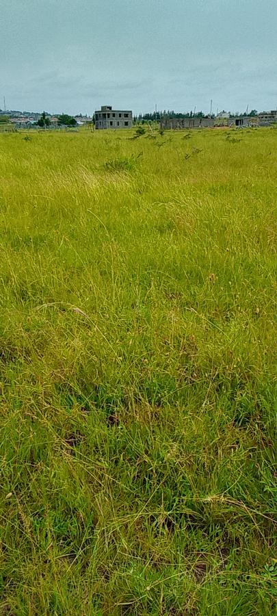 Land in Joska - 11