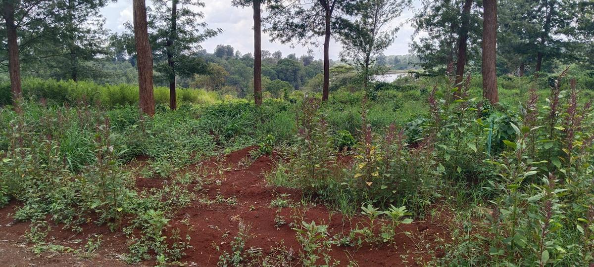 0.046 ha Land in Tatu City - 16