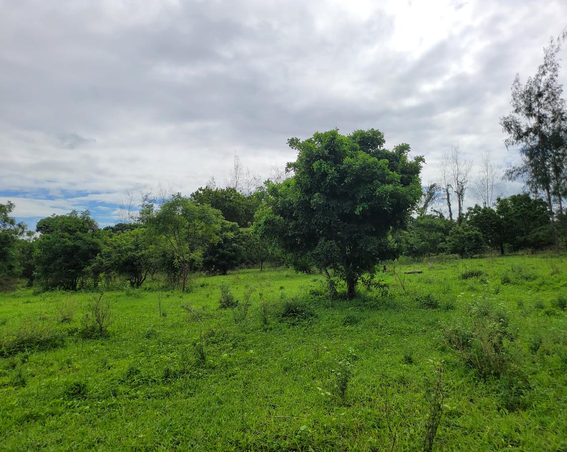 Commercial Land in Mtwapa - 8