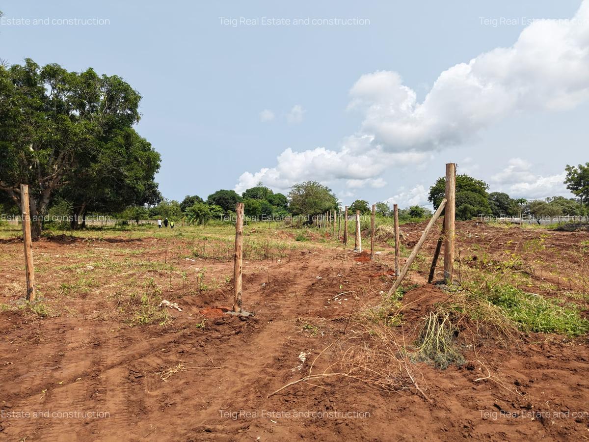0.045 ha Land at Diani Airport - 3