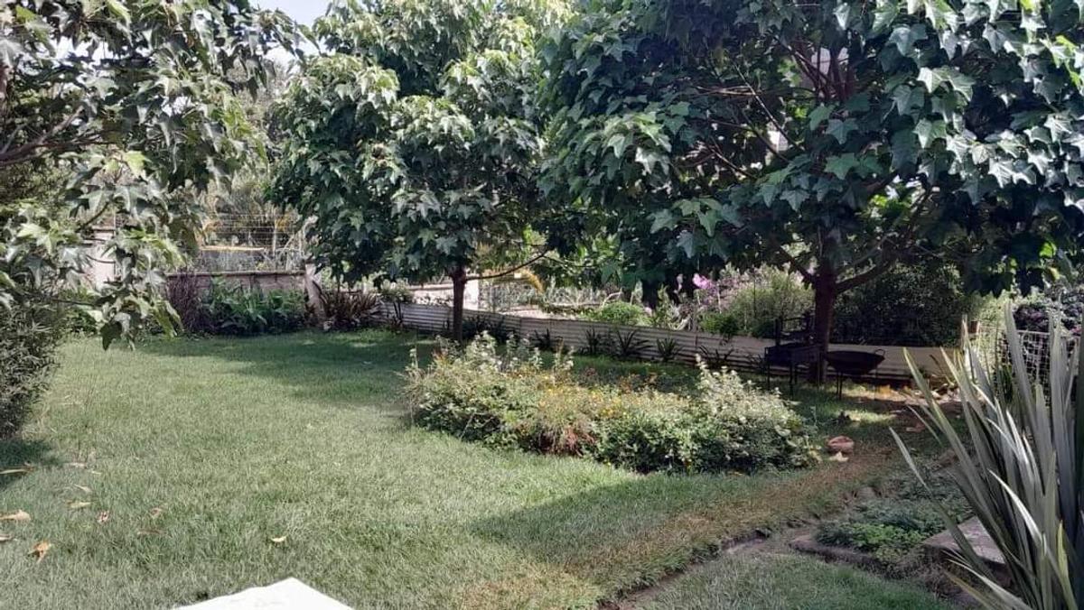 4 Bed House with En Suite in Spring Valley - 2