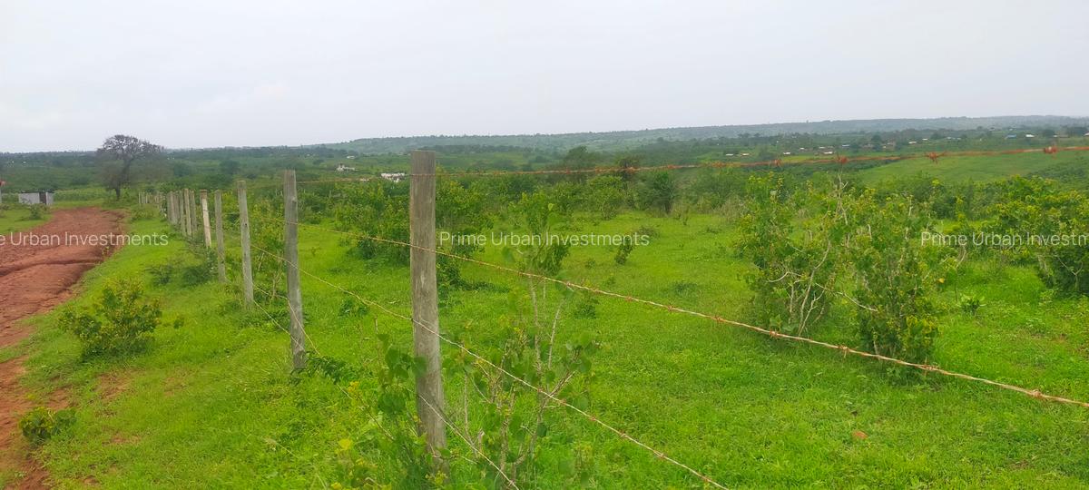 Land in Kilifi County - 6