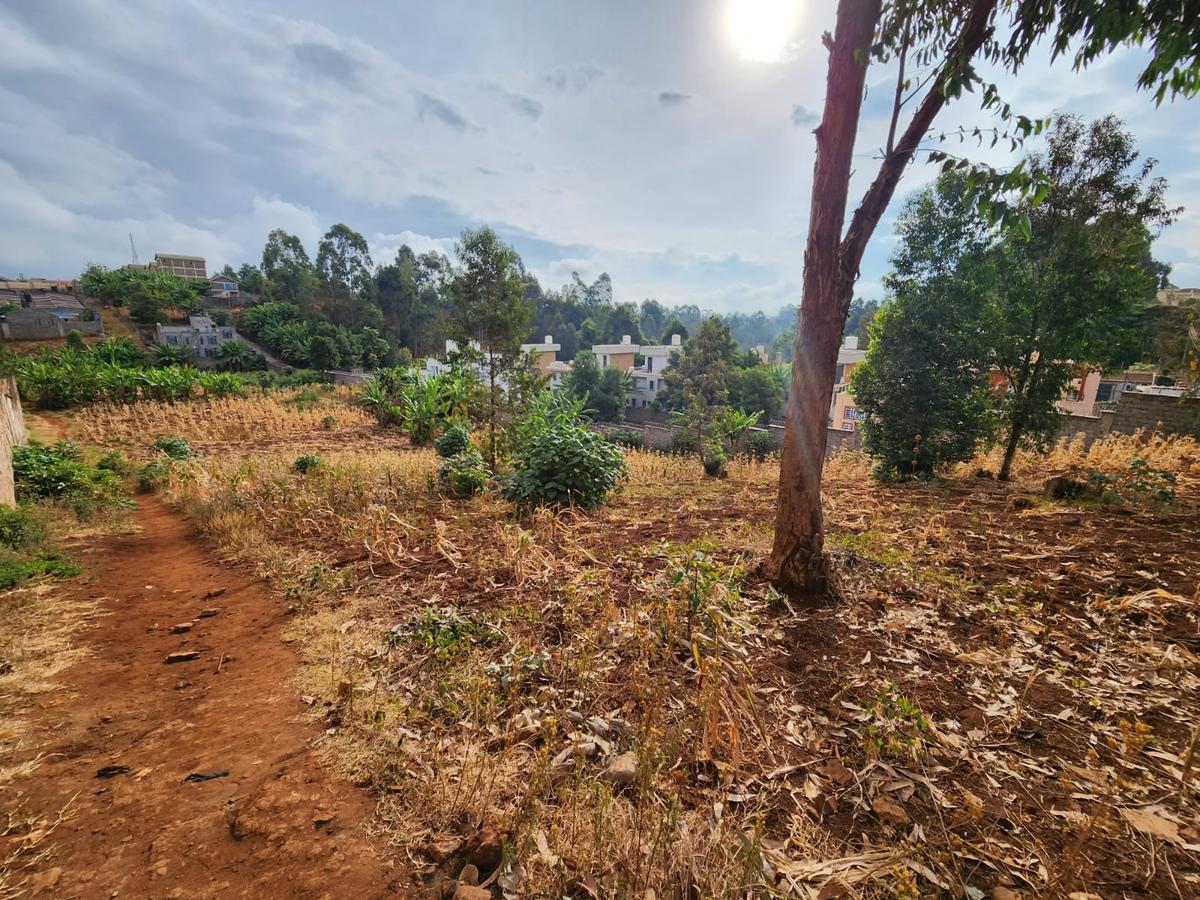 1 ac Land in Kitisuru - 3