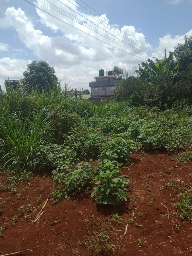 Land in Ruiru - 4