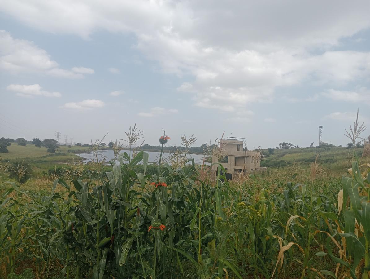 Residential Land at Kiora Estate - 4