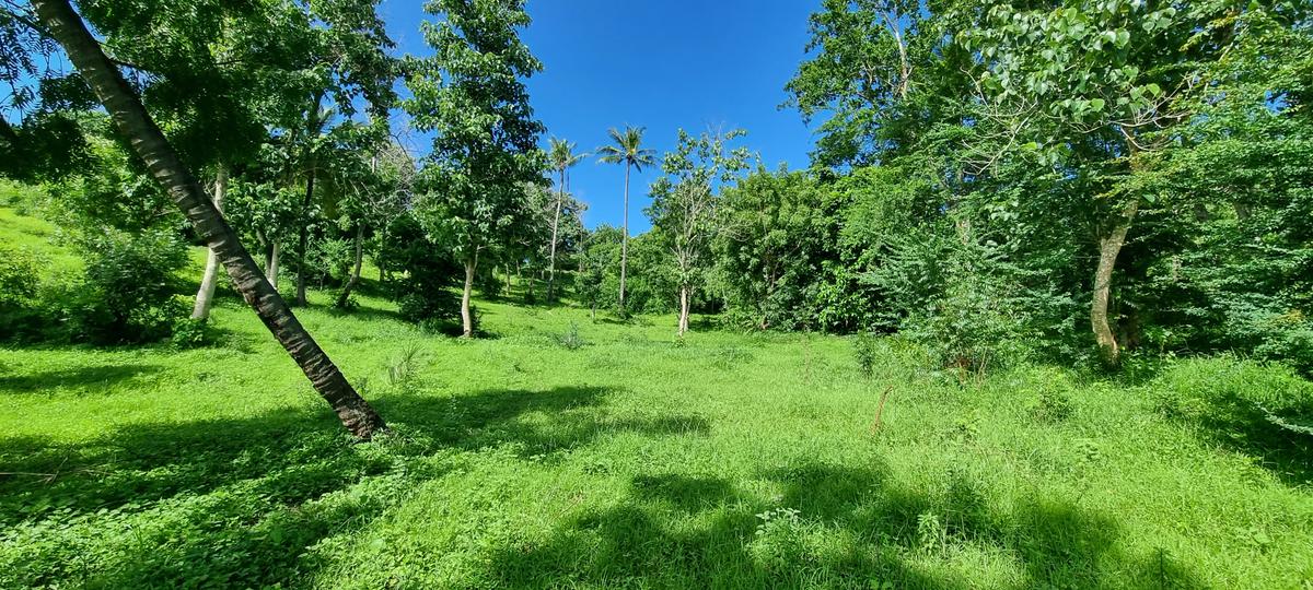 2.5 ac Land at Mtwapa Creekside - 15