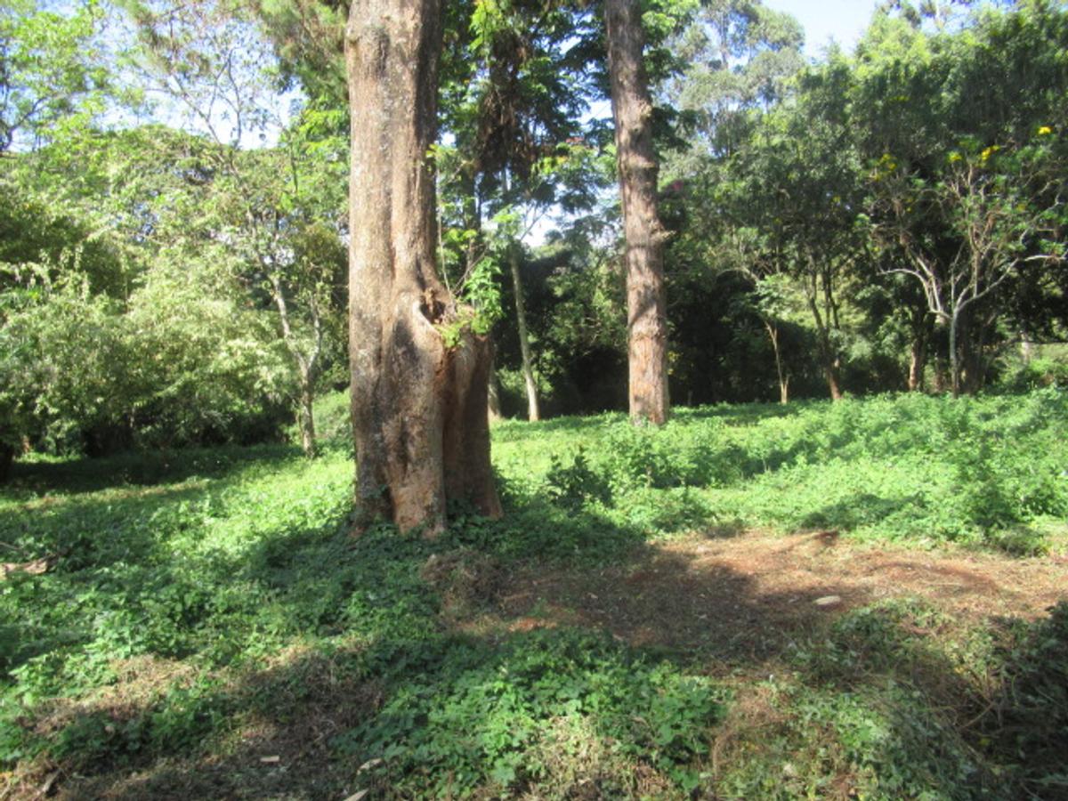 Land at Off Lower Kabete Rd - 13