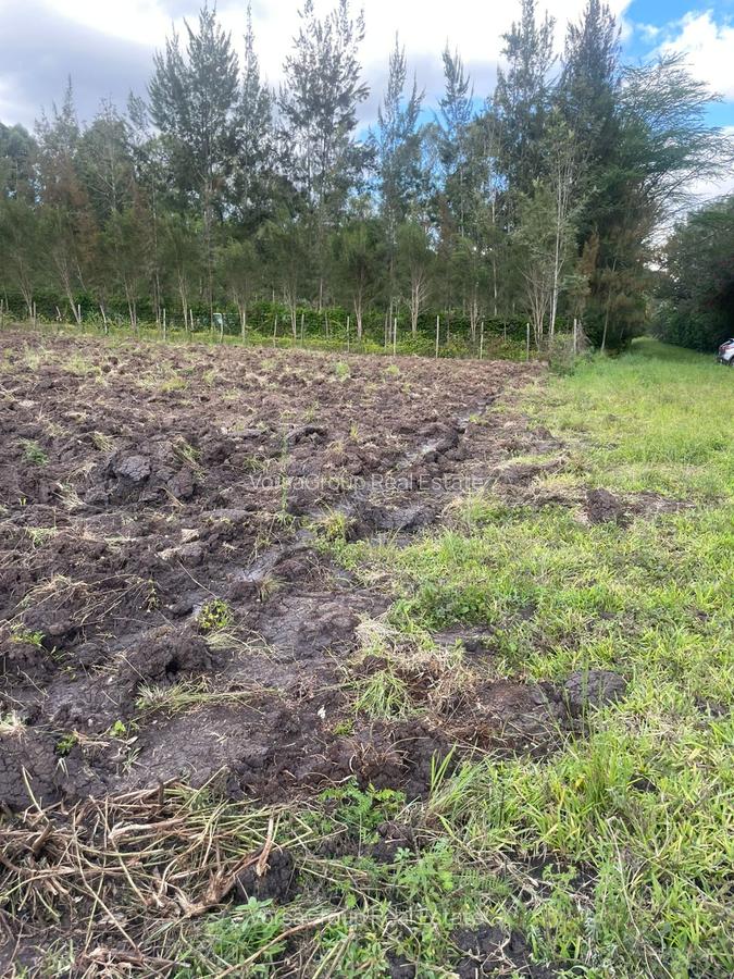 Land at Rhino Park - 1