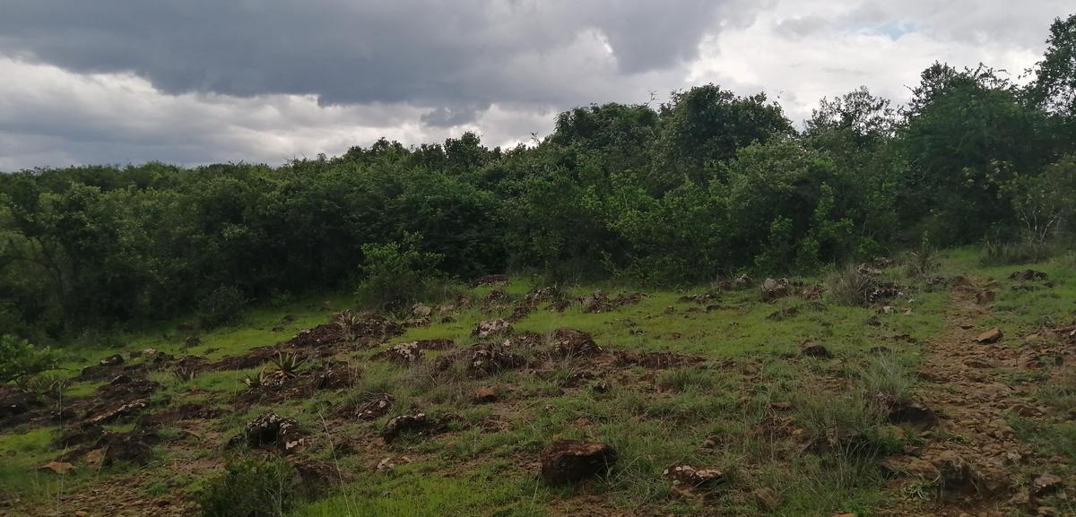 4,000 ac Land at Rumuruti - 3