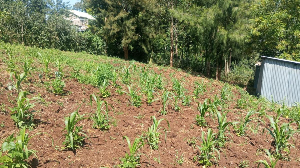 0.125 ac Land in Ngong - 2