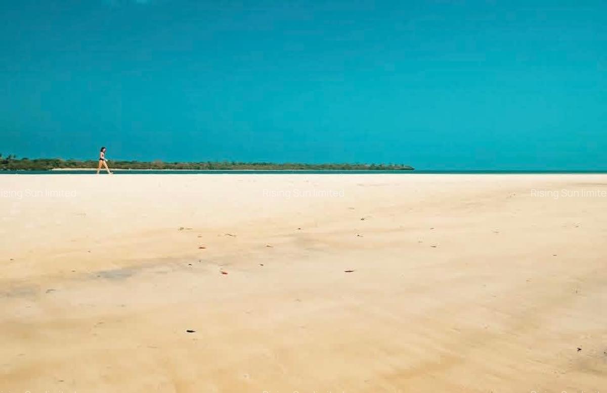 Land at Funzi Island. Limited Parcels Of Land For Sale On Funzi Island - 4