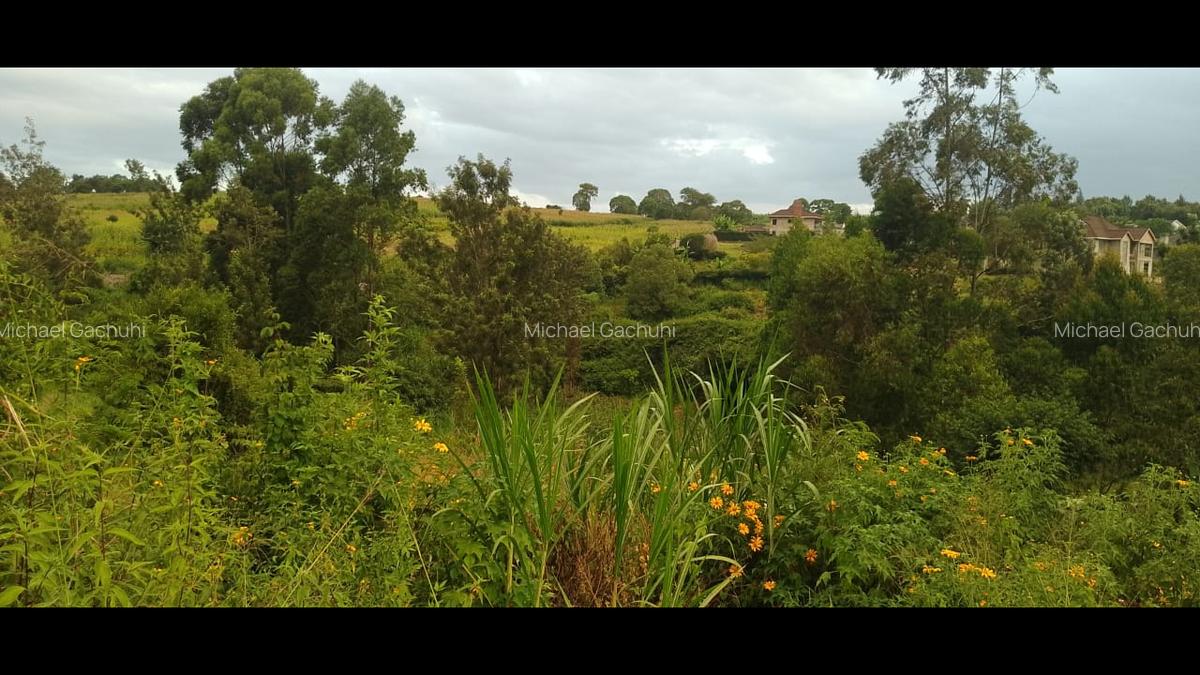 0.25 ac Land at Mugutha Ihigaini - 1