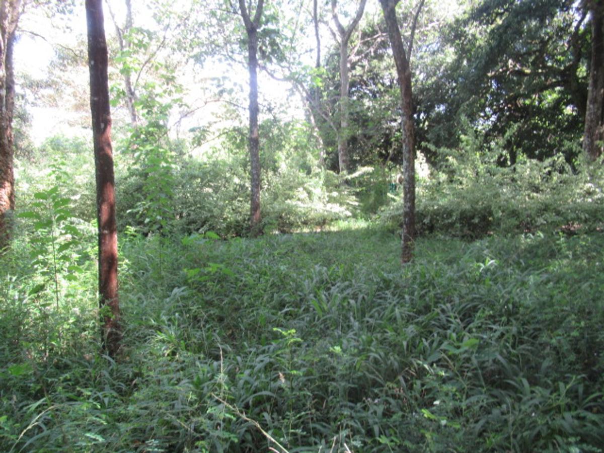 Residential Land at Mwitu Estate - 6