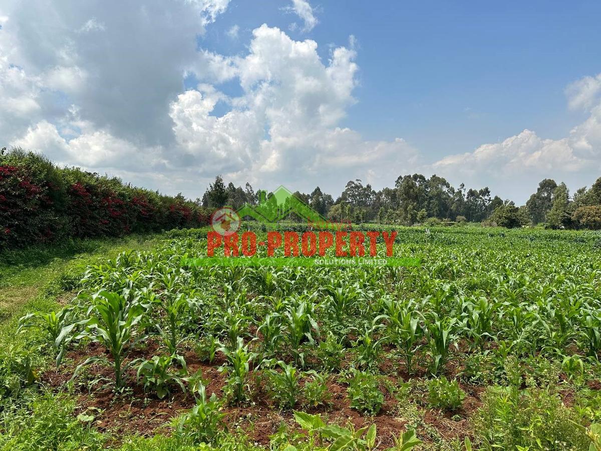 0.4 ha Land at Tilisi - 9