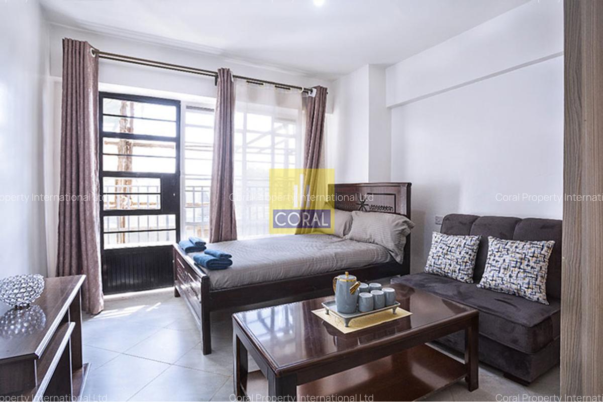 Studio Apartment in Ngara - 3