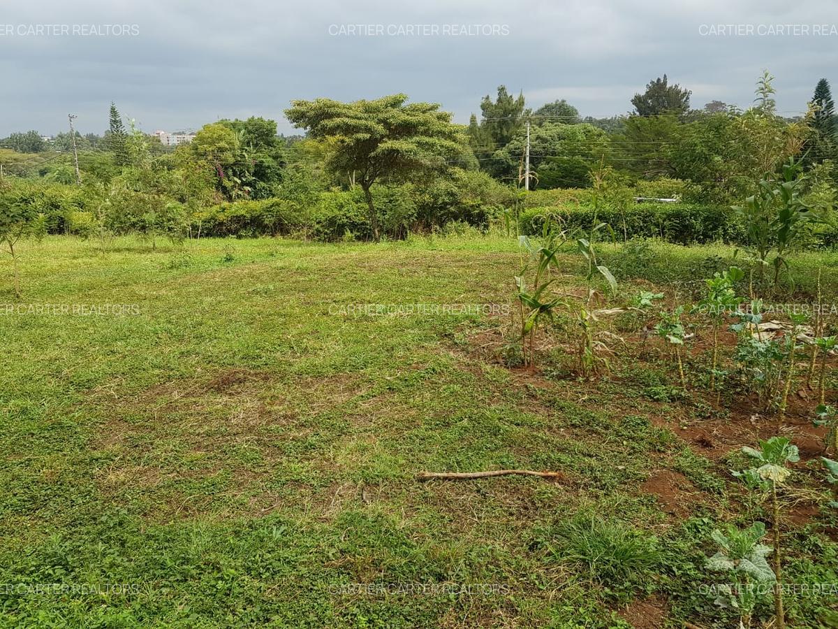 Land in Karen - 2