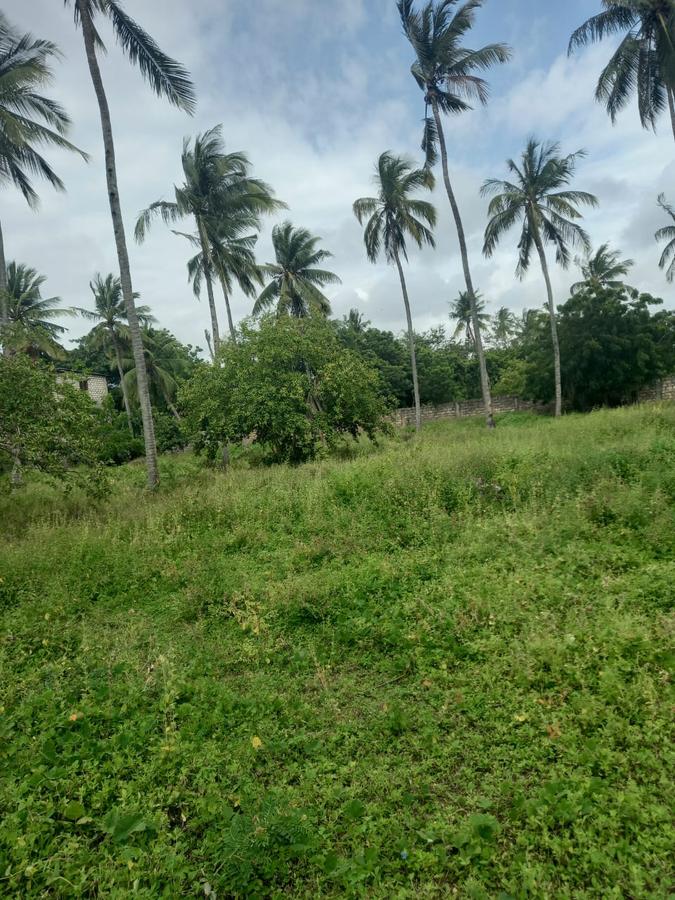 1 ac Land in Mtwapa - 4