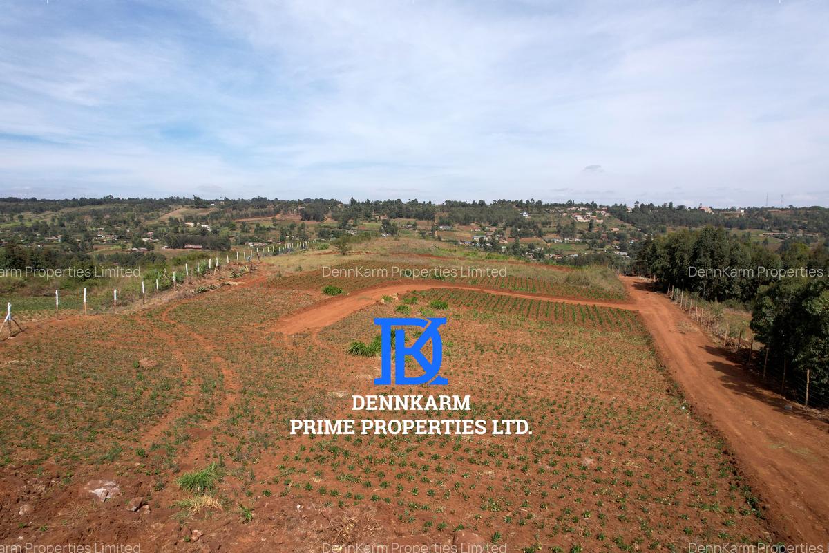0.05 ha Residential Land at Thigio - 15