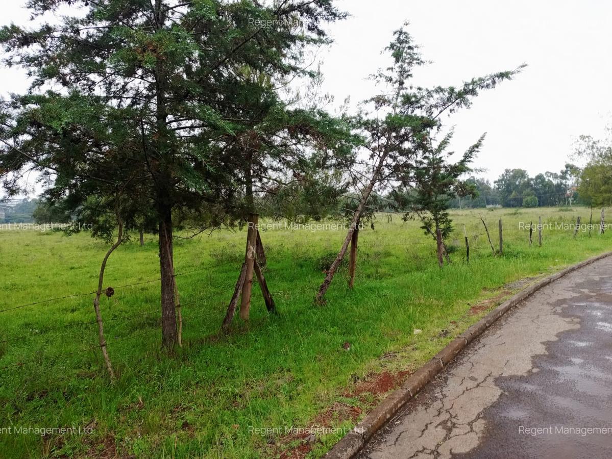 Land at Karen Road - 6