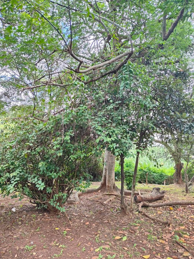 2 ac Land at Lantana Road - 9