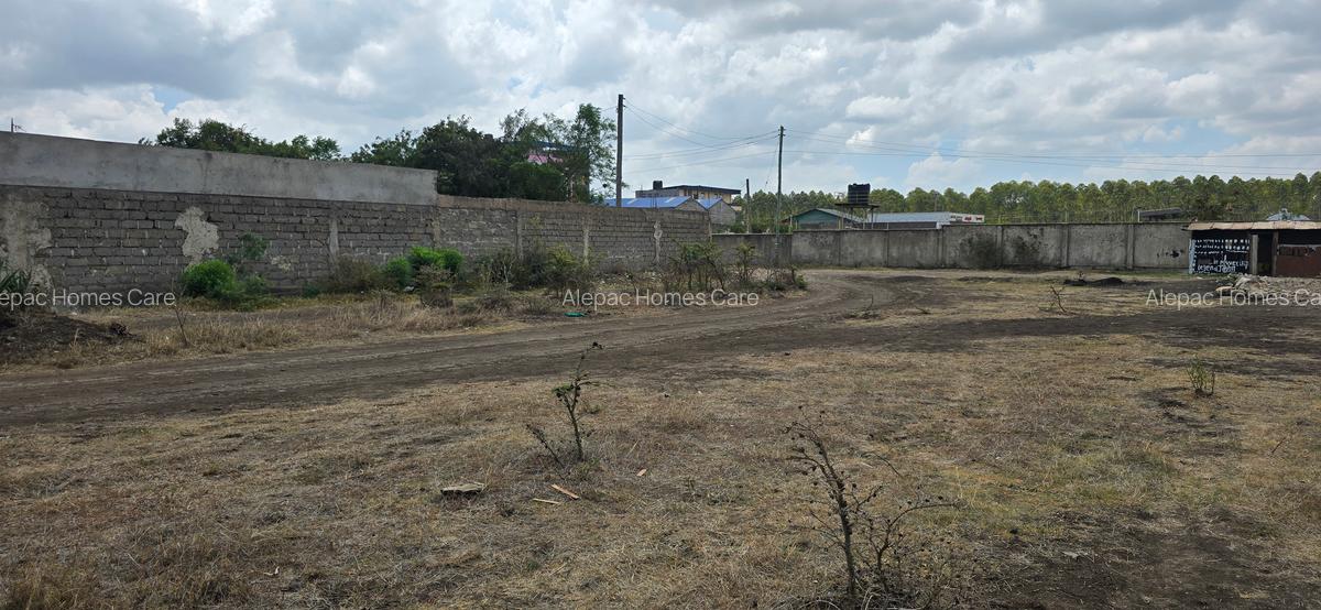 0.125 ac Commercial Land at Kamakis - 7