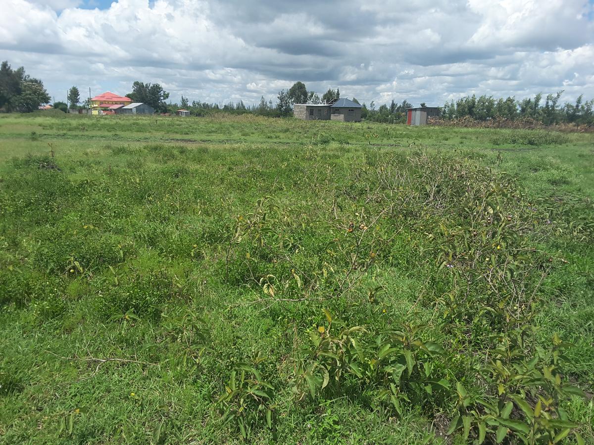 0.1 ha Residential Land in Ongata Rongai - 15