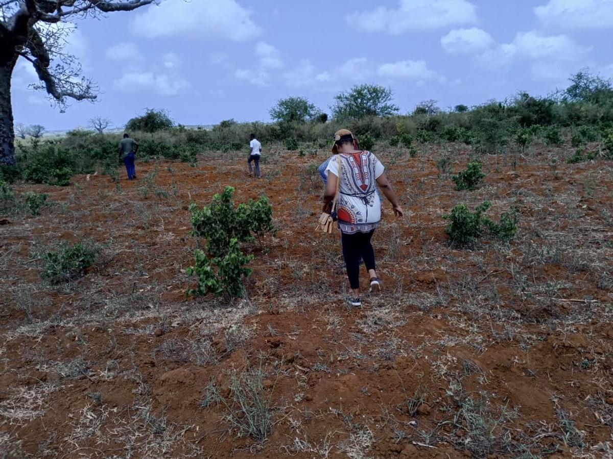 5,000 ft² Land at Mavueni - 8