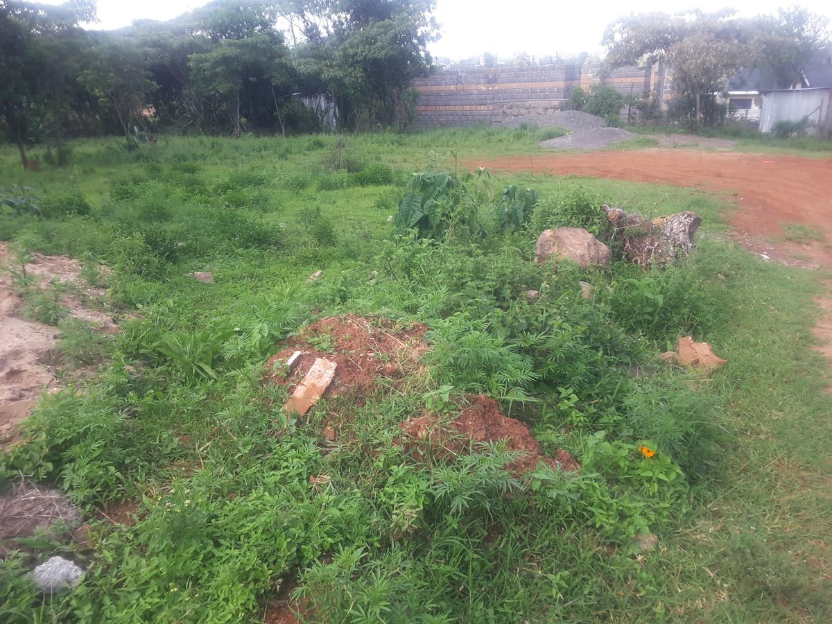 0.125 ac Residential Land in Ongata Rongai - 17