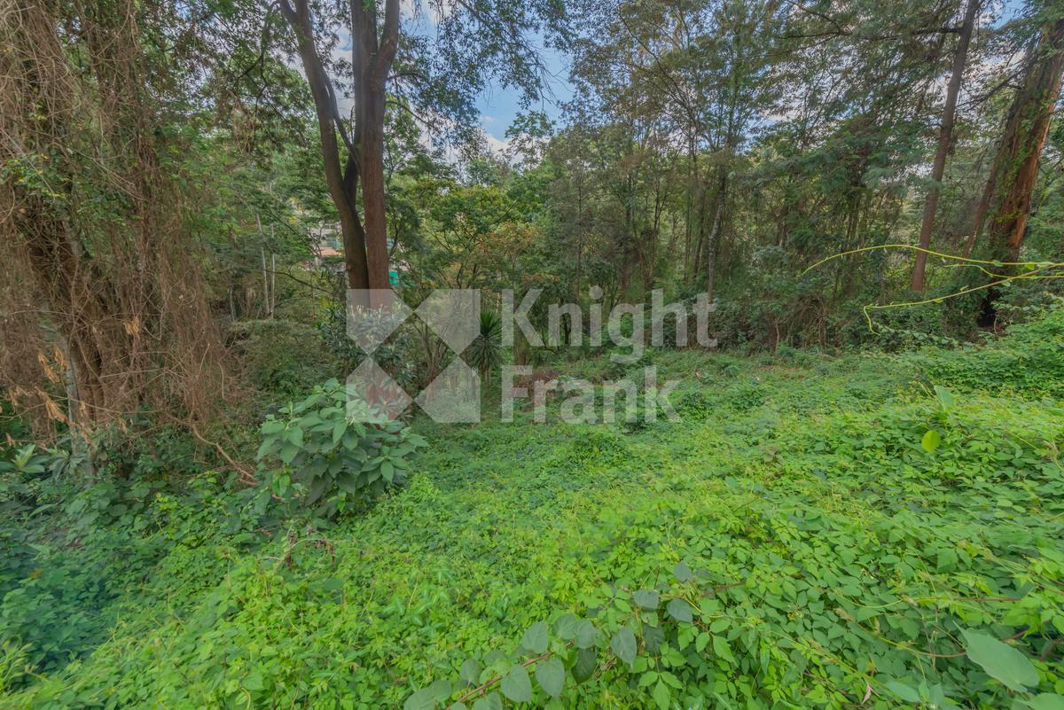 0.5 ac Land at Kitisuru Road - 2