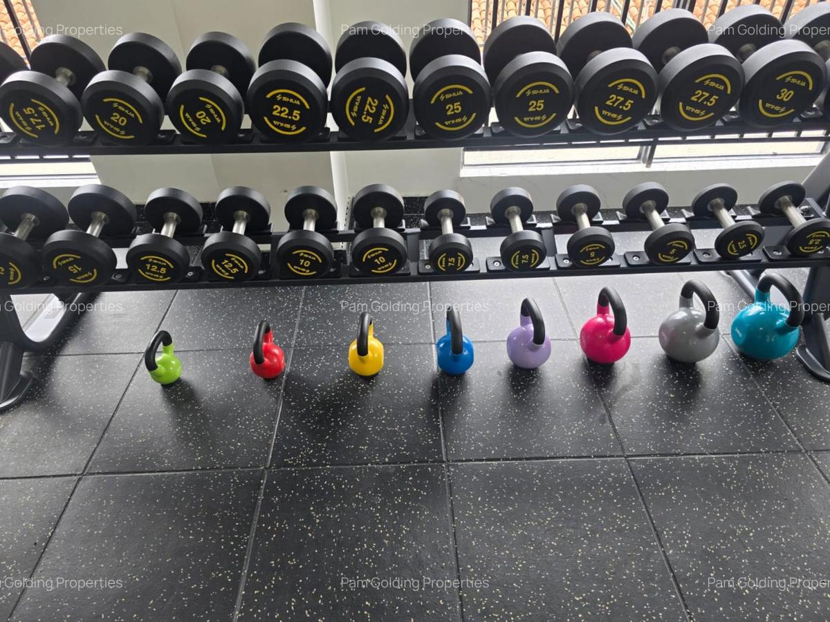 2 Bed Apartment with En Suite in Rhapta Road - 12