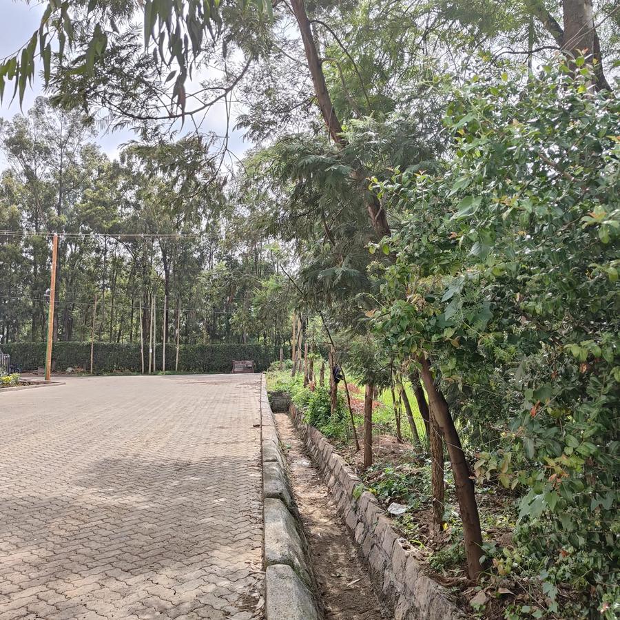 4.5 ac Land at Langata South Road - 6