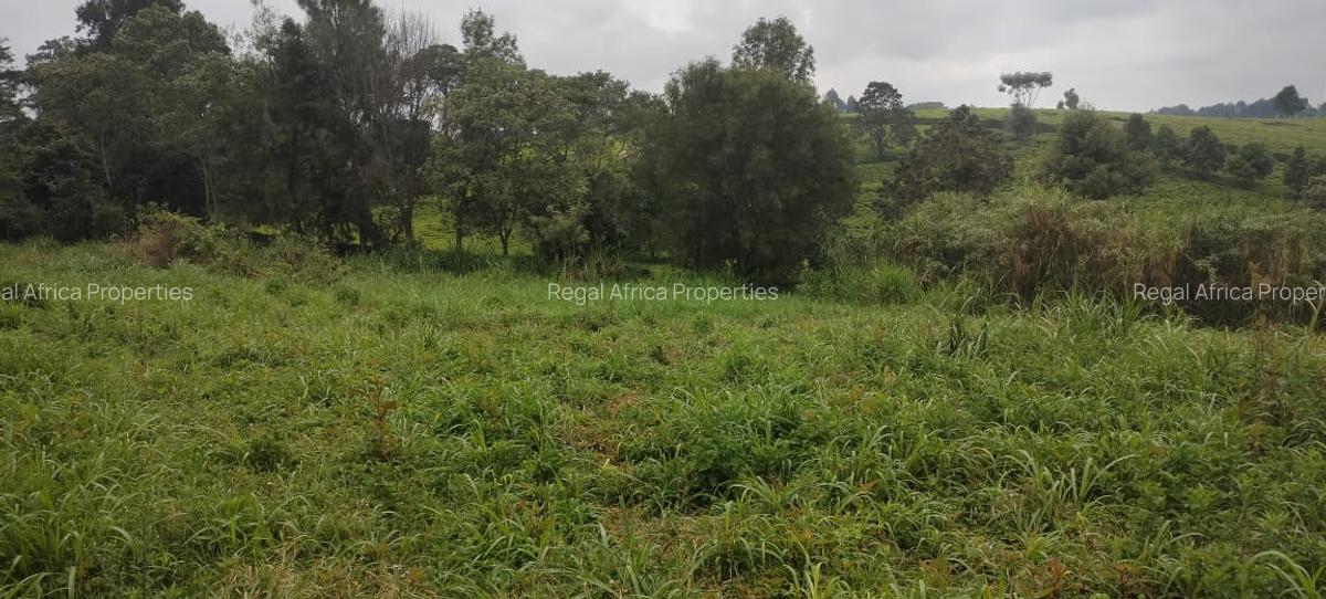 6 Bed House with En Suite in Tigoni - 7