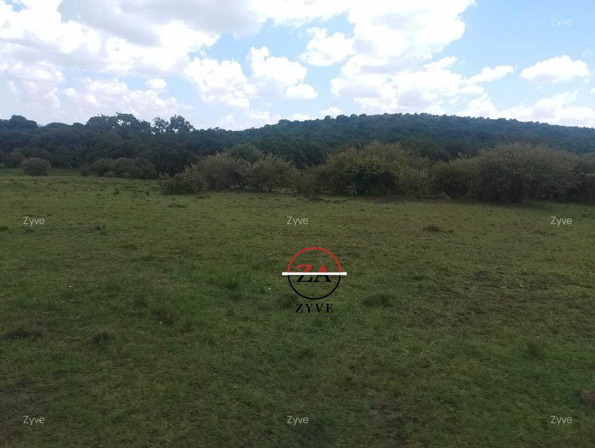 88 ac Land at Ol Choro Conservancy - 12