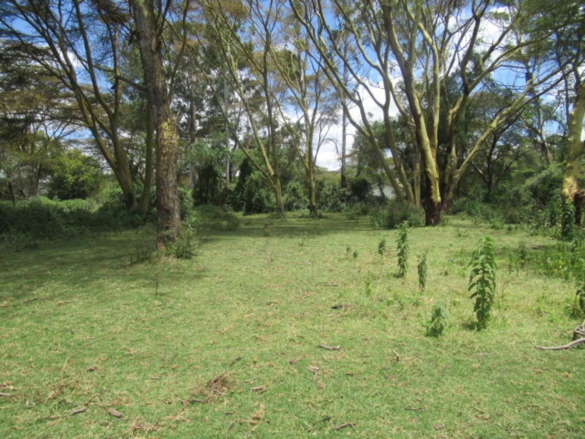 25 ac Land at Moi South Lake Rd - 11